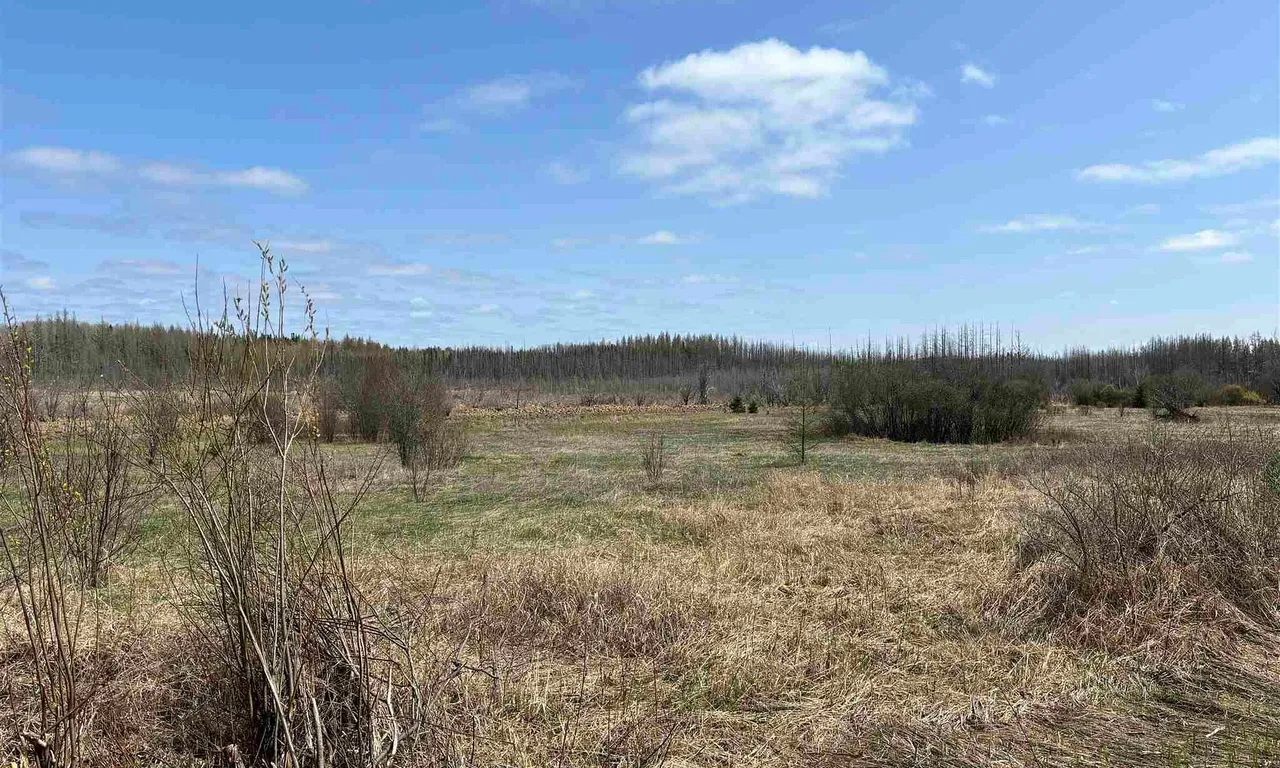 L4 Concession 2 Rd, Cochrane Remote Area, ON P0K 1R0