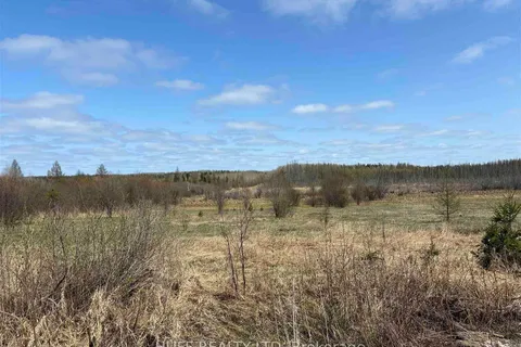 L4 Concession 2 Rd, Cochrane Remote Area, ON P0K 1R0