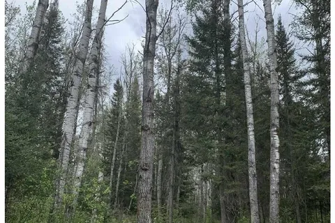 Lot 12 Con 6 Maclean Dr, Timmins, ON P4N 7C3