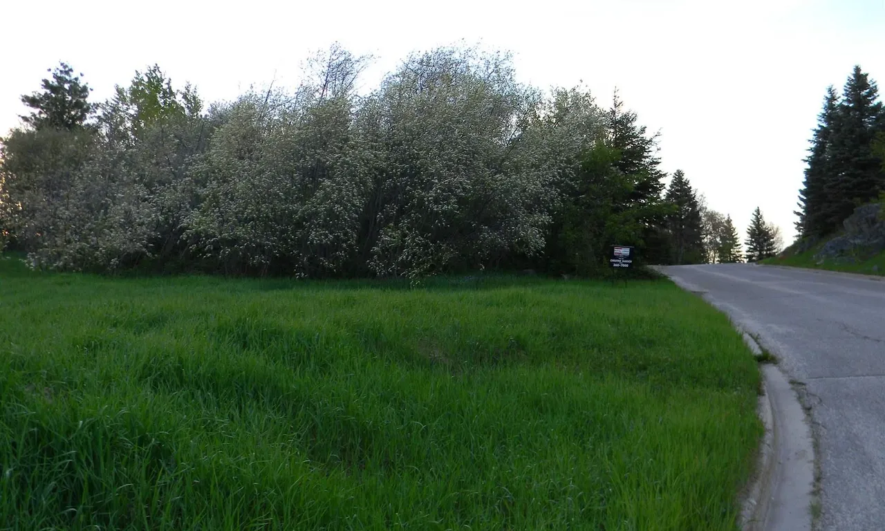 LOT 15 CAMERON Hill, Timmins, ON P4N 5B7