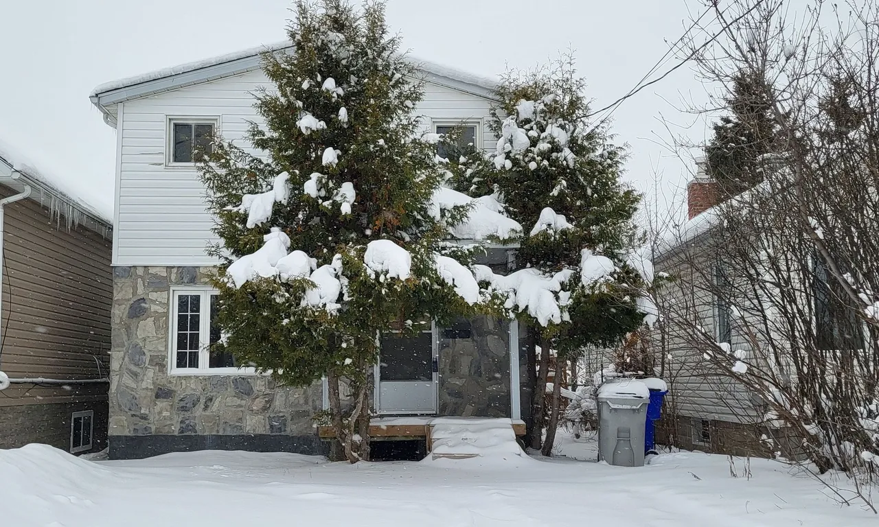 381 Spruce St, Timmins, ON P4N 6N6