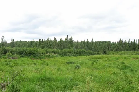 LT 11 CON 3 Murphy Township, Timmins, ON P4N 7C3