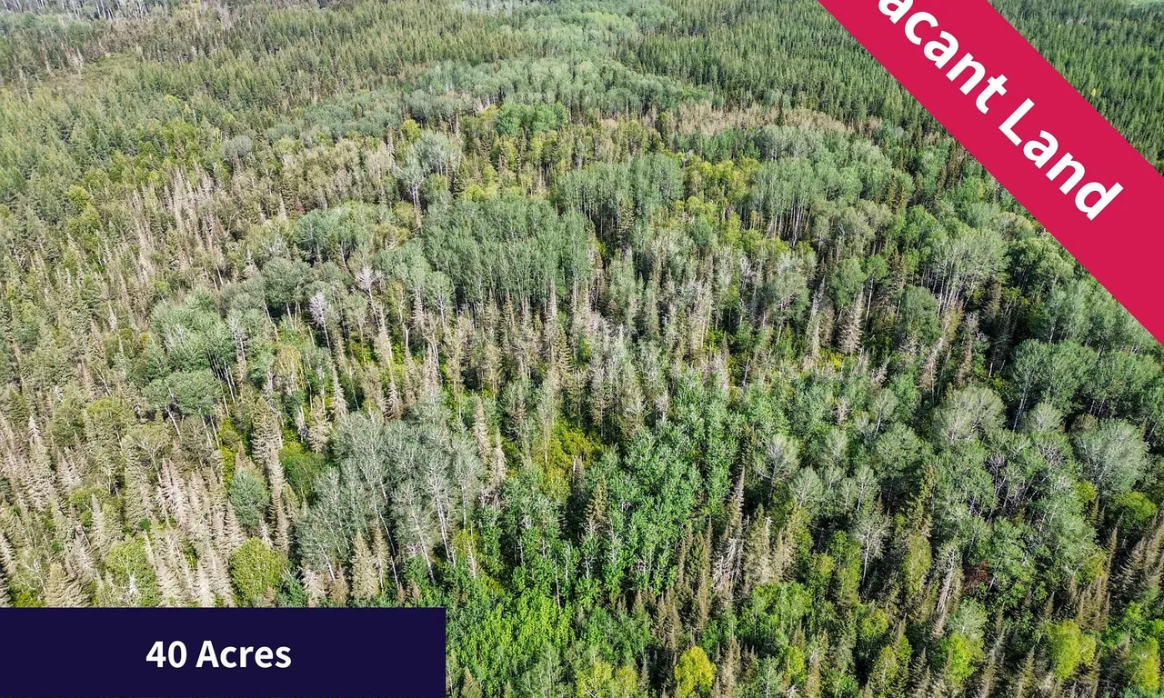 Currie Con 5 Lot 11, Black River-Matheson, ON P0K 1N0