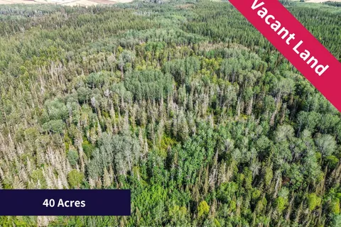 Currie Con 5 Lot 11, Black River-Matheson, ON P0K 1N0