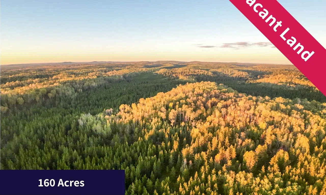 1/2 LT 9 CON 1 MCCANN, Cochrane Remote Area, ON P0K 1N0