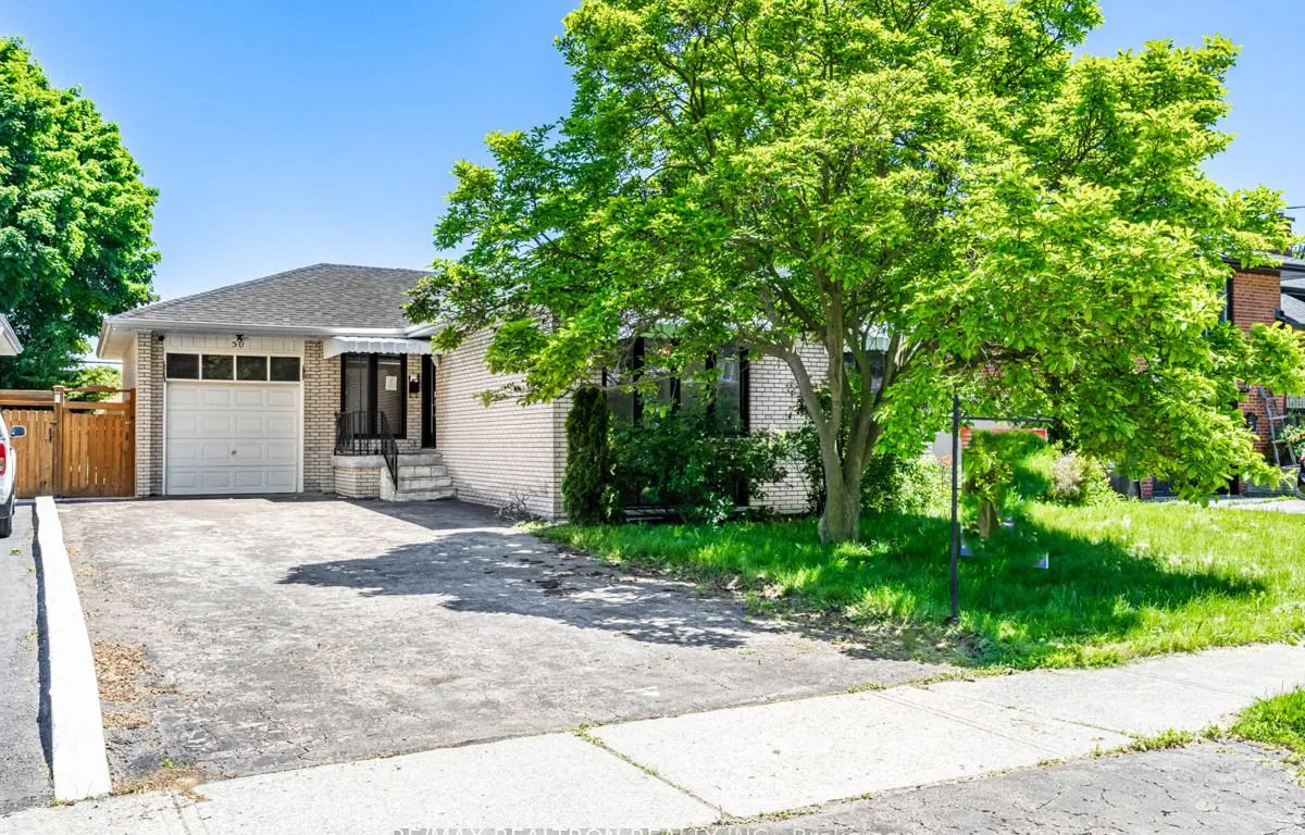 50 Breadner Dr, Toronto, ON M9R 3M4