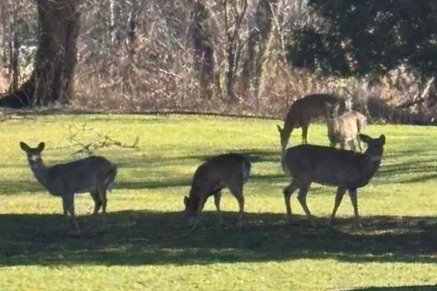 10231 Old Pinecrest Road, Brampton, ON L7A 0A4