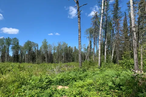 PCL8547 HWY 101 Highway, ON P4N 7K2