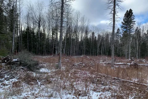 PCL8547 HWY 101 Highway, ON P4N 7K2