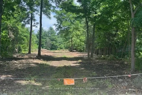 3035 LIMESTONE Road, ON L0P 1B0