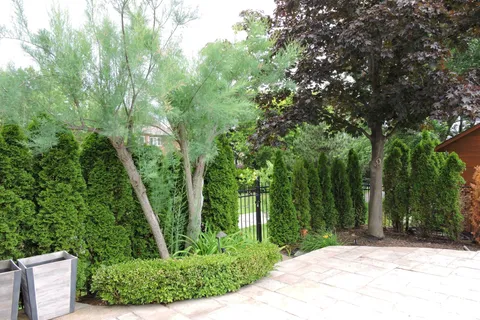 2917 Coulson Court, ON L5M 5S8