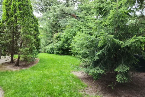 11 Valecrest Drive, ON M9A 4P4
