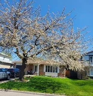 71 Grassington Crescent, ON L6S 1Z5