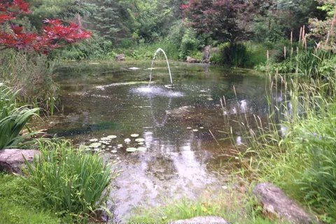 8295 Creditview Road, ON L6Y 0G7