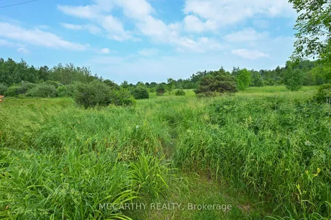 15 Andrew Avenue, ON L9W 4E5