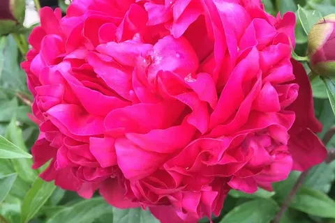 2870 Westbury Court, ON L5M 6B3