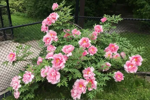 2870 Westbury Court, ON L5M 6B3