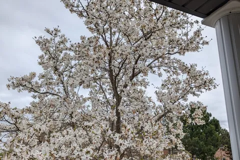 18 Archbury Circle, ON L7E 2H7