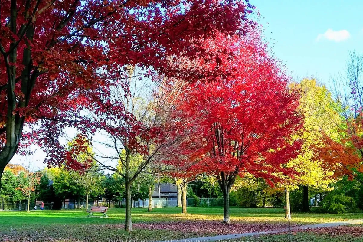 25 Silvercrest Avenue, ON M8W 2S3