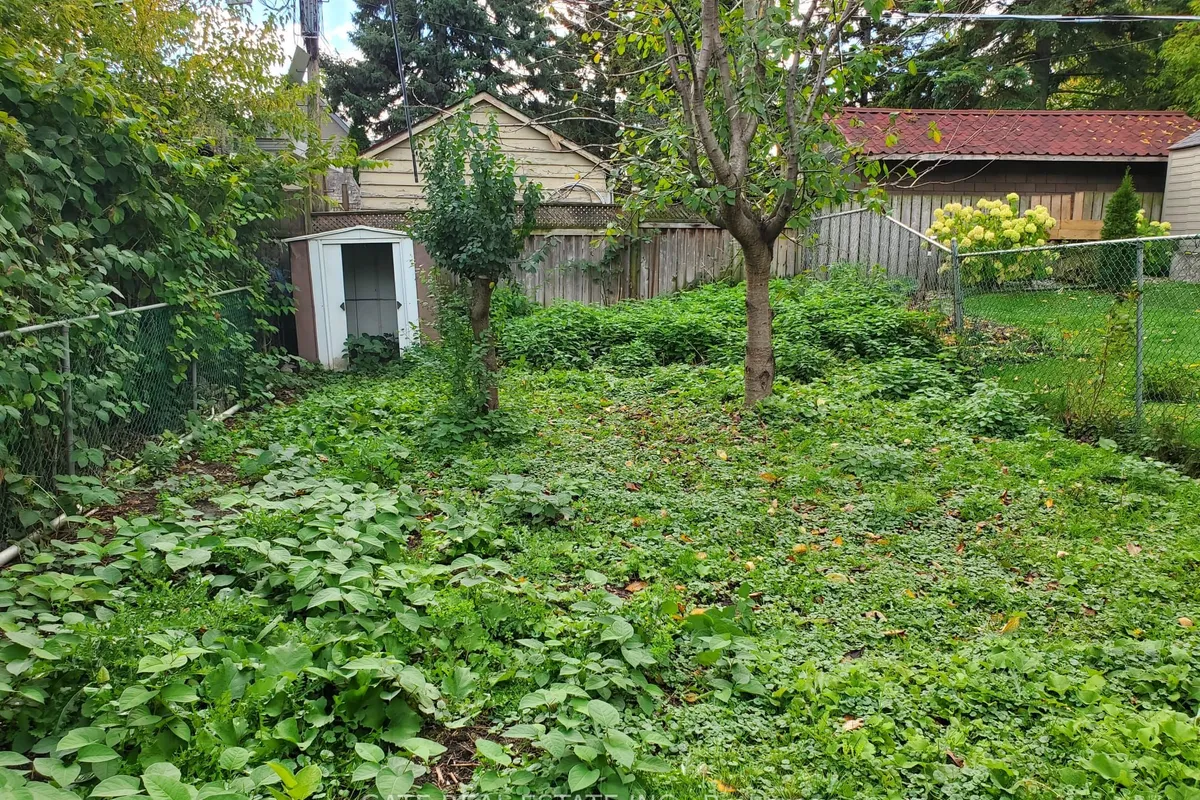 27 Lambton Avenue, ON M6N 2S2