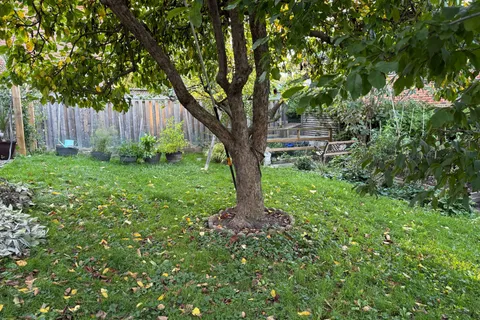 258 La Rose Avenue, ON M9P 1B7