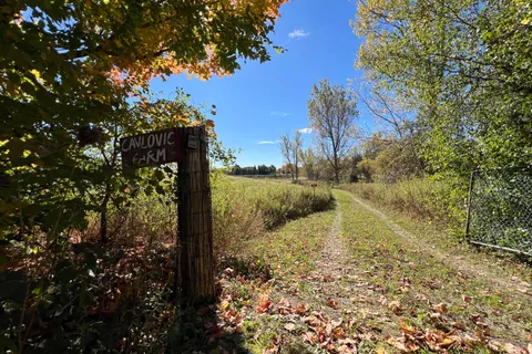 14070 DUBLIN LINE Line, ON L7J 2L9