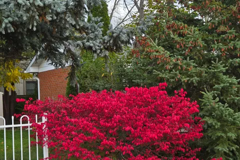 515 Trafford Crescent, ON L6L 3T2