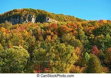 38 Sloan Drive, ON L9T 5P7