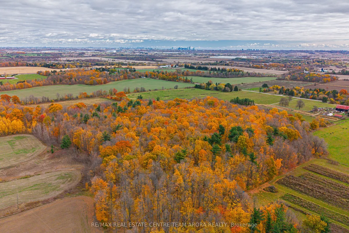 9249 Sixth Line, ON L7G 4S6
