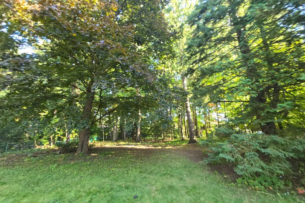 62 Pinewood Trail, ON L5G 2L1