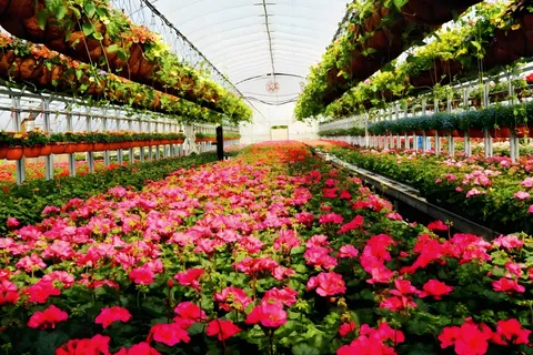 1101 Derry Road, Milton, ON L7P 0E2