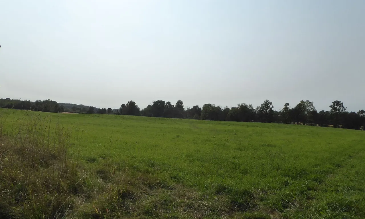 11080 First Line, Milton, ON L0P 1J0