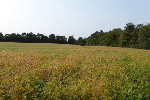 11080 First Line, Milton, ON L0P 1J0