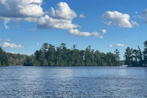 0 Douglas Island, Douro-Dummer, ON K0L 2H0