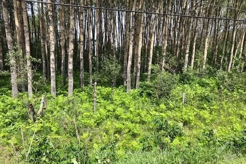 15758 Hwy 17 Highway, ON K7S 3G7