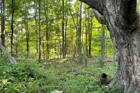 0 NEWBOYNE Rd, Rideau Lakes, ON K0G 1V0