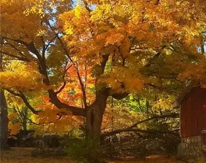 1592 CENTRE Rd, Hamilton, ON L8N 2Z7