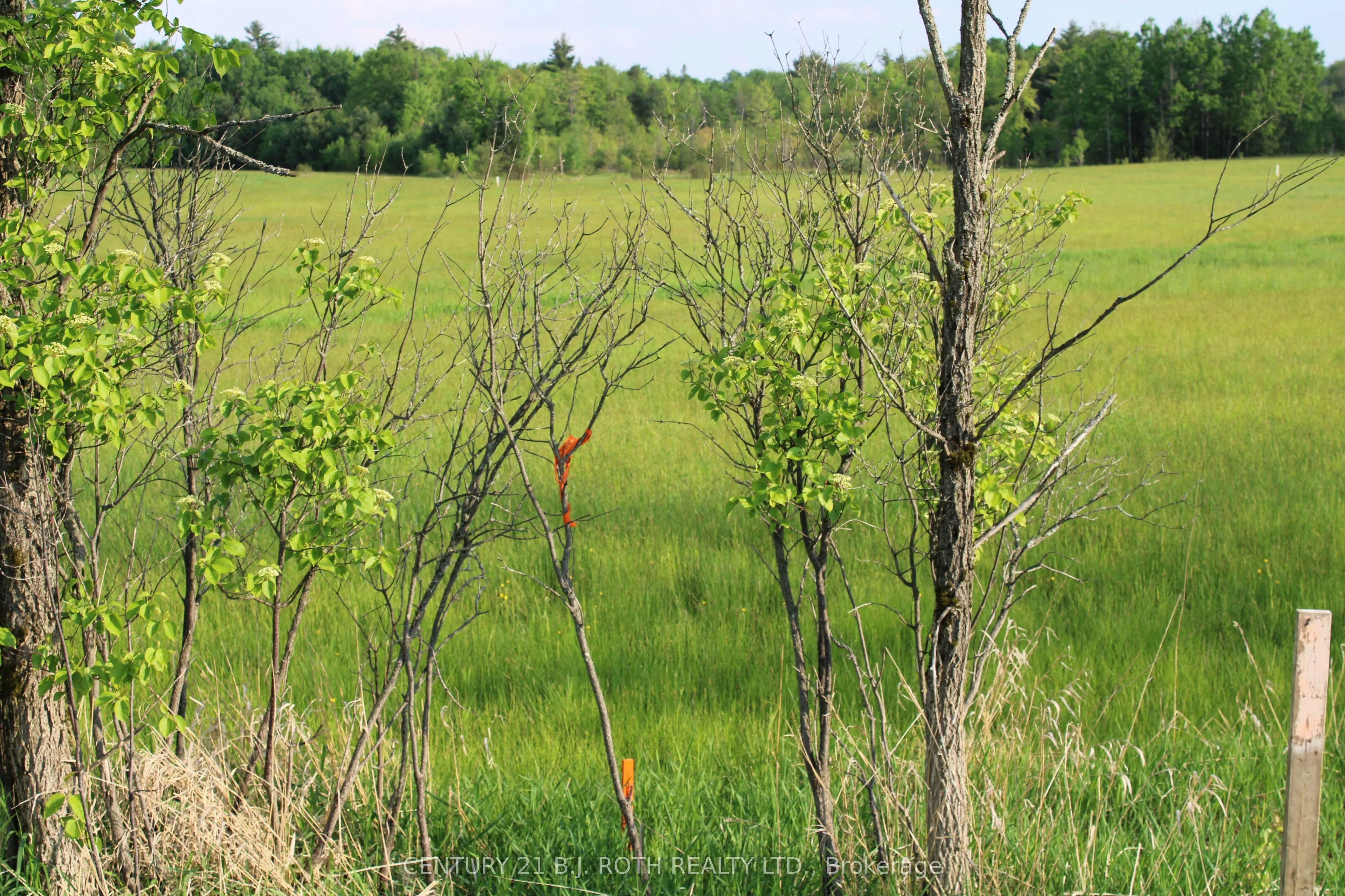 1521 Kilworthy Road, ON P0E 1G0