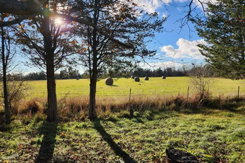 545 County Rd 19, Prince Edward County, ON K0K 1A0