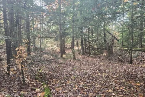 10685 ROAD 38 Rd, Central Frontenac, ON K0H 2K0