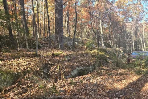 10685 ROAD 38 Rd, Central Frontenac, ON K0H 2K0