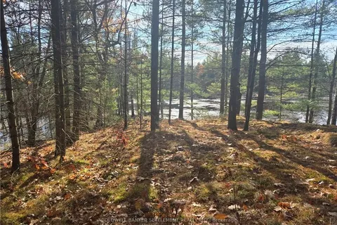 10685 ROAD 38 Rd, Central Frontenac, ON K0H 2K0