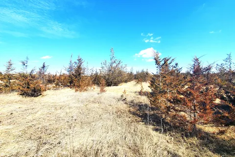 521 Hwy 41 N/A, ON K0K 2W0