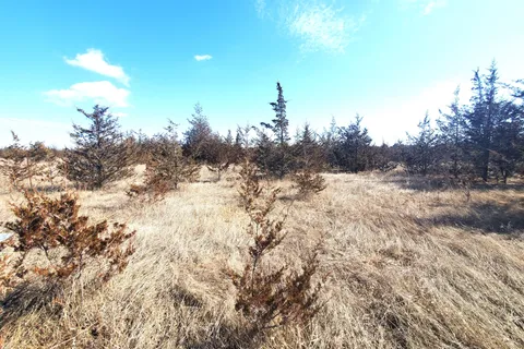 521 Hwy 41 N/A, ON K0K 2W0