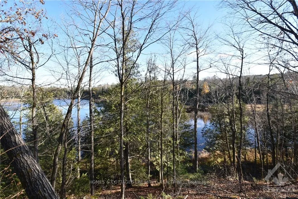 1205 SOUTH Rd, North Frontenac, ON K0H 1K0