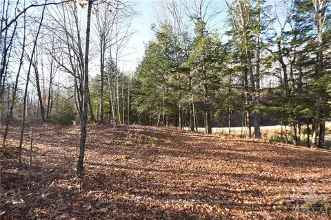 1205 SOUTH Rd, North Frontenac, ON K0H 1K0