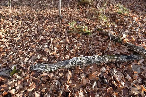 1205 SOUTH Rd, North Frontenac, ON K0H 1K0