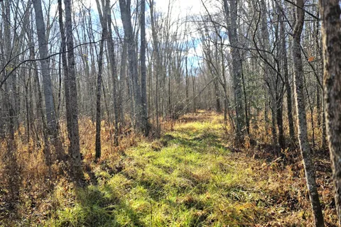 0 Enright Road, Tyendinaga, ON K0K 3A0