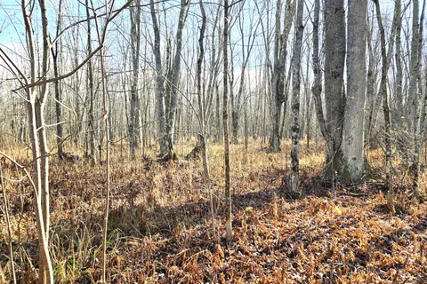 0 Enright Road, Tyendinaga, ON K0K 3A0