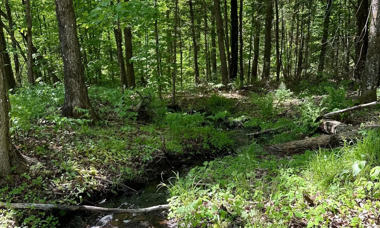 0 Donroy Rd, Highlands East, ON K0M 1R0